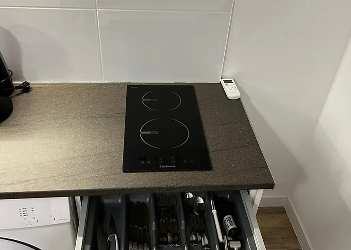 Rodrigues 15 公寓式酒店 4*